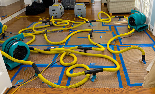 Professional Crawl Space Water Removal technician working in McCoy, CO