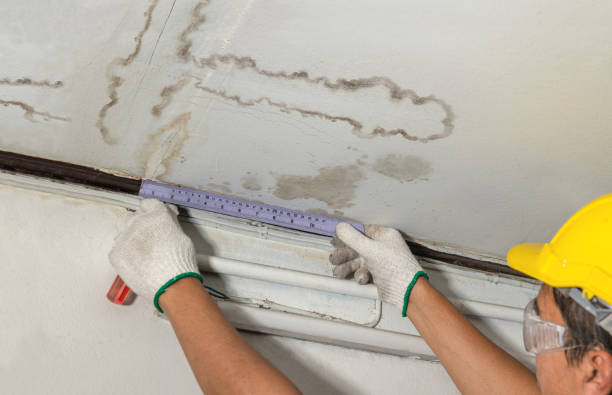 Affordable Water Damage Repair solutions in McCoy, CO